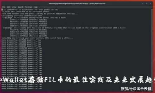 tpWallet存储FIL币的最佳实践及未来发展趋势