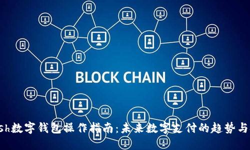 Kcash数字钱包操作指南：未来数字支付的趋势与技巧