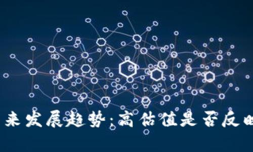 加密钱包的未来发展趋势：高估值是否反映其真正价值？