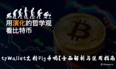 tpWallet支持Pig币吗？全面解析与使用指南