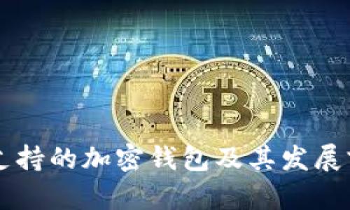 以色列支持的加密钱包及其发展前景分析