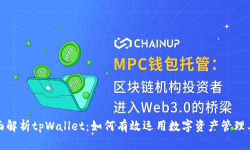 全面解析tpWallet：如何有效运用数字资产管理工具