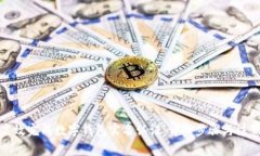 如何高效完成数字钱包实名认证：详细步骤与注