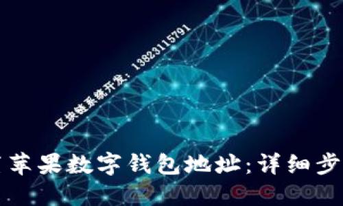 如何设置苹果数字钱包地址：详细步骤与指南