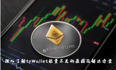 深入了解tpWallet能量不足的原因及解决方案