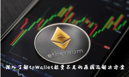 深入了解tpWallet能量不足的原因及解决方案