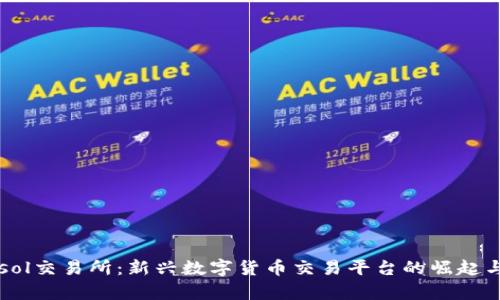 tpWalletsol交易所：新兴数字货币交易平台的崛起与前景分析
