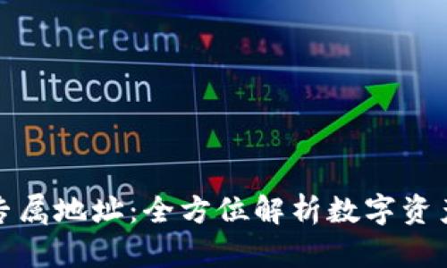 数字钱包与专属地址：全方位解析数字资产管理的未来