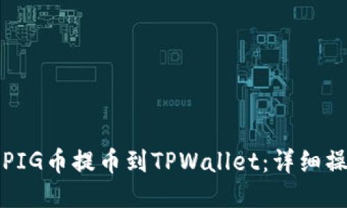 如何将PIG币提币到TPWallet：详细操作指南
