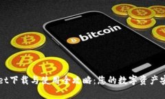 tpWallet下载与使用全攻略：您的数字资产安全助手