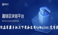 如何在苹果手机上下载和使用tpWallet：完整指南