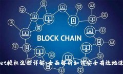 tpWallet授权流程详解：全面解析如何安全有效地进