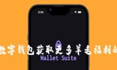 如何利用数字钱包获取更多羊毛福利的终极指南