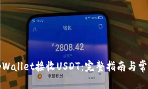 如何使用tpWallet接收USDT：完整指南与常见问题解答