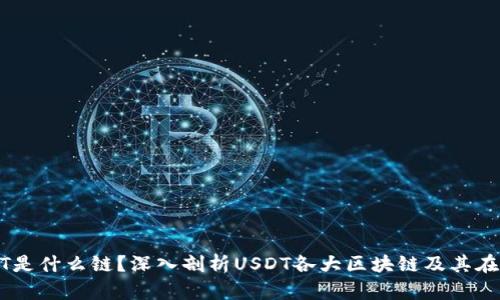 tpWallet中的USDT是什么链？深入剖析USDT各大区块链及其在tpWallet中的应用