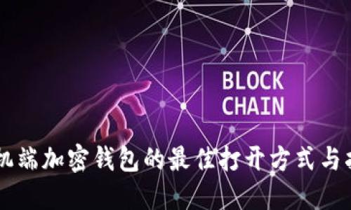 手机端加密钱包的最佳打开方式与指南