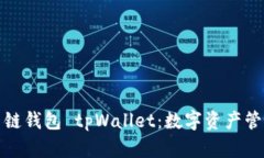 全面解析多链钱包 tpWallet：数字资产管理的新时