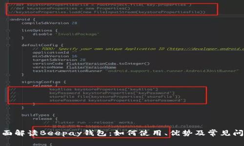 全面解读Beepay钱包：如何使用、优势及常见问题