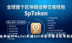 电脑版TPWallet新增BSC功能详解与使用指南