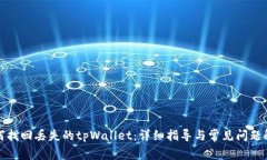 如何找回丢失的tpWallet：详细指导与常见问题解答