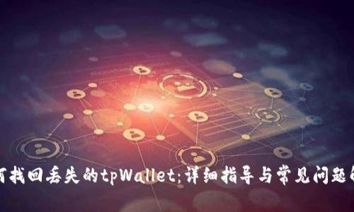 如何找回丢失的tpWallet：详细指导与常见问题解答