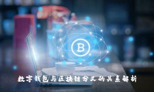 数字钱包与区块链分叉的关系解析