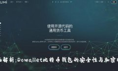 全面解析：Dowallet比特币钱包的安全性与加密特性
