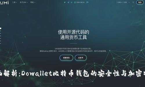 全面解析：Dowallet比特币钱包的安全性与加密特性