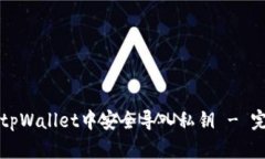 如何在tpWallet中安全导入私钥 - 完整指南