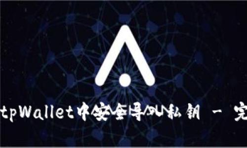 如何在tpWallet中安全导入私钥 - 完整指南