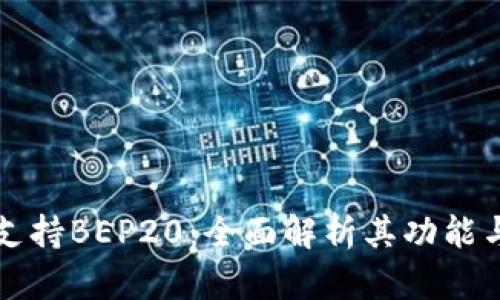 tpWallet支持BEP20：全面解析其功能与应用场景