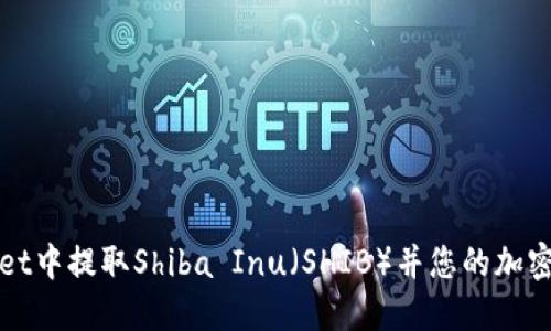 如何在TPWallet中提取Shiba Inu（SHIB）并您的加密资产管理策略
