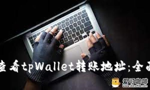 如何查看tpWallet转账地址：全面指南