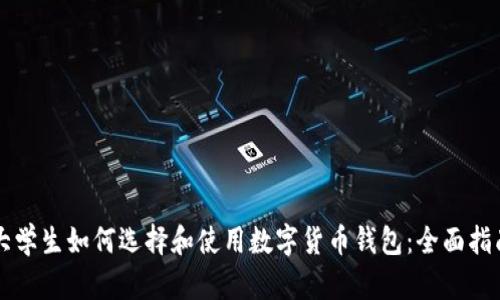 大学生如何选择和使用数字货币钱包：全面指南