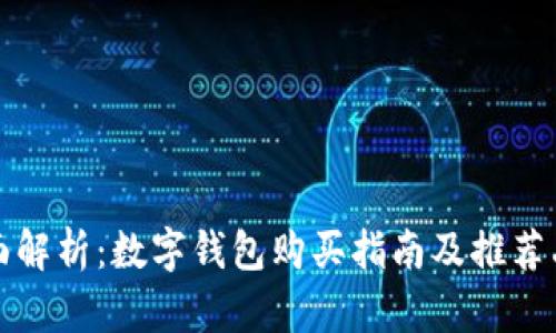全面解析：数字钱包购买指南及推荐品牌
