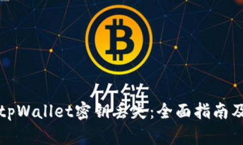 如何应对tpWallet密钥丢失：全面指南及解决方案