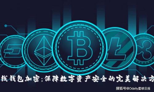 离线钱包加密：保障数字资产安全的完美解决方案