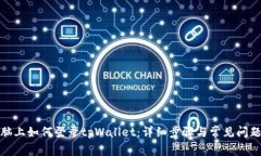 : 电脑上如何登录tpWallet：详细步骤与常见问题解
