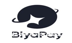 数字钱包最优芯片选择指南：如何挑选适合您的