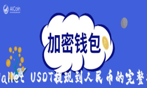 
tpWallet USDT提现到人民币的完整指南