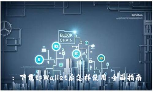 : 下载tpWallet后怎样使用：全面指南