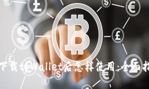 : 下载tpWallet后怎样使用：全面指南